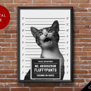 Custom Mugshot Pet Portrait Personalized, Funny Gift, Criminal Pet, Cat Prisoner, Digital File