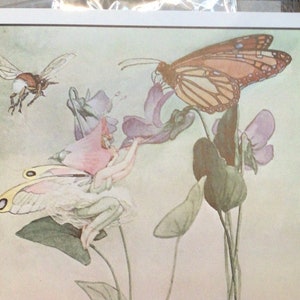 V is for Violet -  Fairy Alphabet Print - illustrated by Fanny Y. Cory