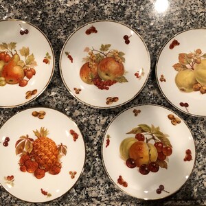 Mitterteich German hand painted dessert plates, Set of 5