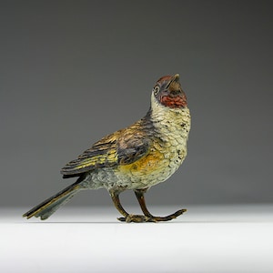 Vienna Bronze, Red Robin, Austria late-1800s