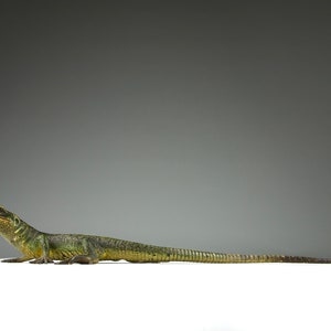 Vienna Bronze, Lizard, late 19th century