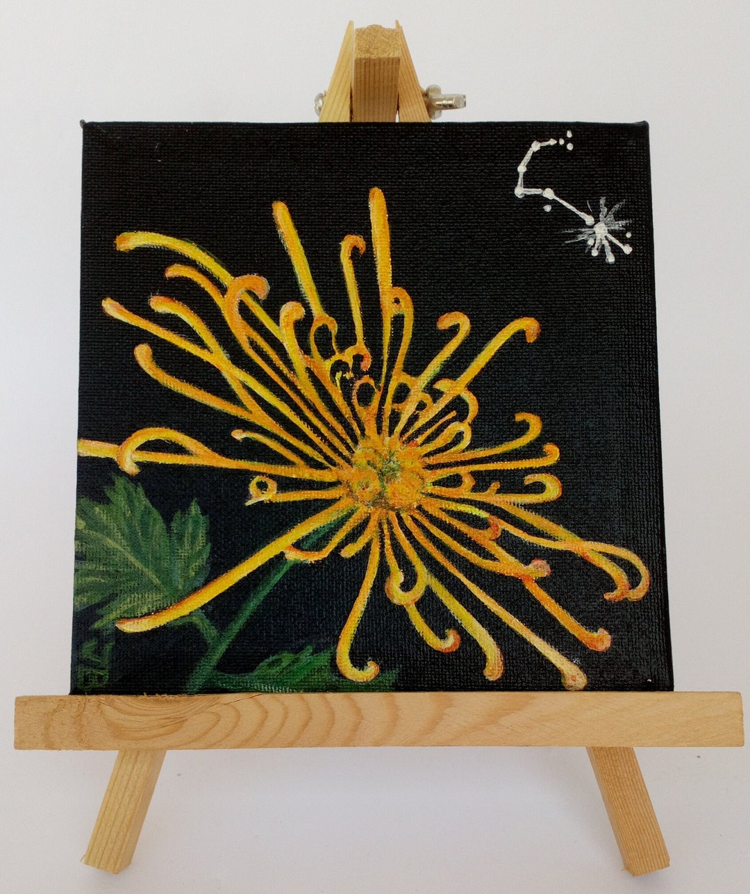 Scorpio Zodiac Birth Flower Chrysanthemum Zodiac Birth Etsy