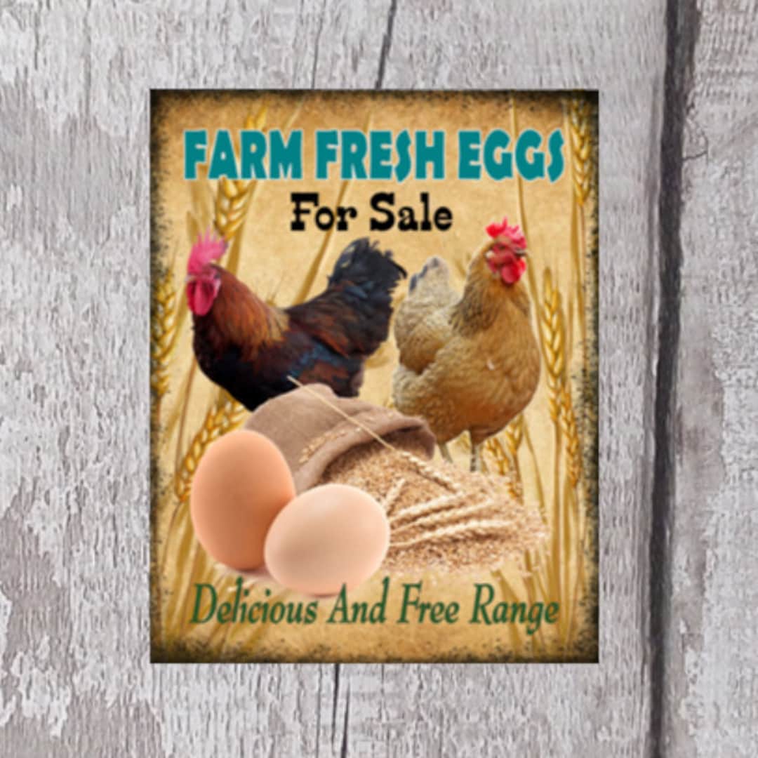 Metal Eggs for Sale Sign aluminium Wall Sign eggs for Sale Etsy