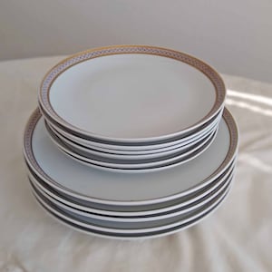 Vintage Porcelain Plates Set / Vintage Porcelain / Set of 10 / Gold Trim/ White / Colditz Germany
