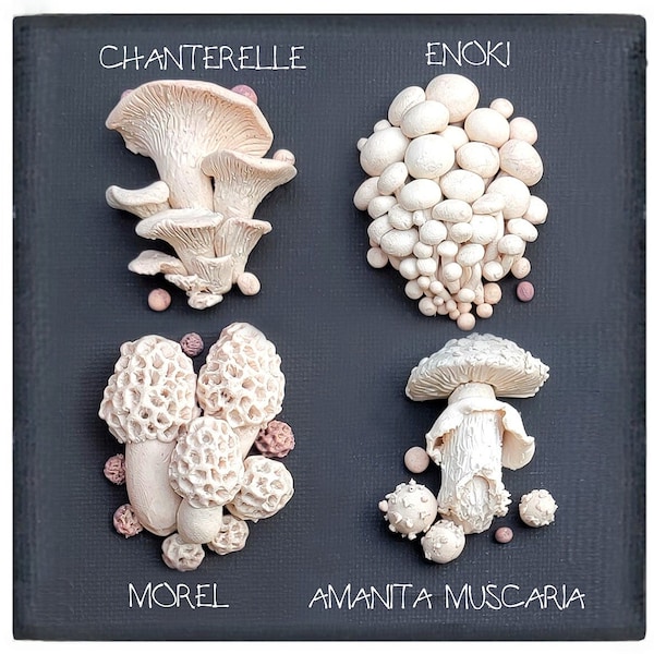 Mushroom Wall Art 4 set