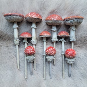 Estacas de Cogumelos
