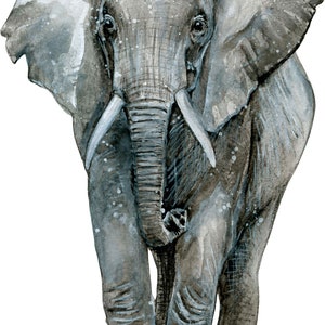 Big Wall sticker Set for kids, Elephant front facing