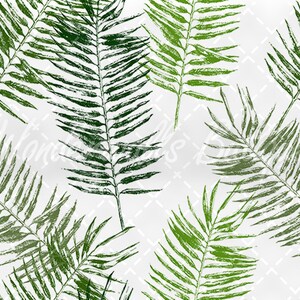 Tropical Palm Leaf Wallpaper, Peel and Stick (Removable, Easy to Apply)