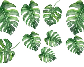 Safari Animal Wall Decal Set: Watercolor Leaves and Cubs for Kids - Hand Painted Decals, Nursery Room Decor