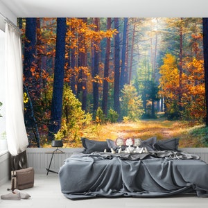 Autumn Forest Wallpaper - peel and stick, removable, Landscape Mural, Sunset, Wall Decoration, Wood, Nature, Forest Mural