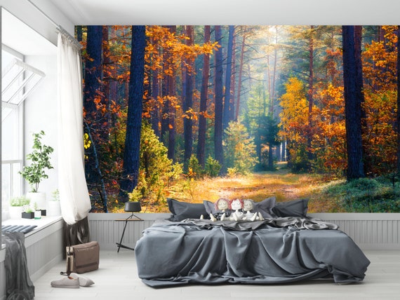 Papier peint forêt d'automne amovible, papier peint paysage, coucher de  soleil, décoration murale, bois, nature, papier peint forêt -  Canada
