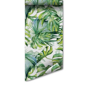 Monstera | Tapete abziehen und aufkleben | Abnehmbare Tapete | Wanddekoration | Wohnkultur | Wandkunst | Wandbilder