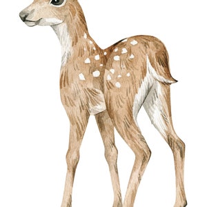 Watercolor Forest Animals Wall Decals | Cute Nursery Wall Stickers | Peel and Stick Woodland Animals | Removable Nursery Decor