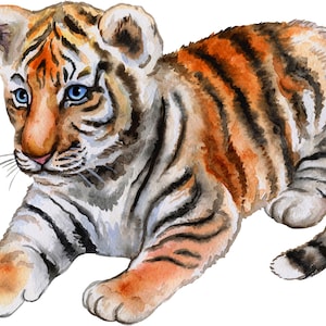 Big Wall sticker Set for kids, Tiger Cub
