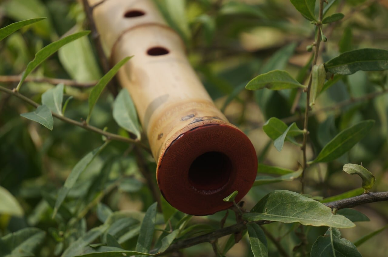 Shakuhachi Zen Flute Key E 49 Cm Myoan School Utaguchi. Etsy