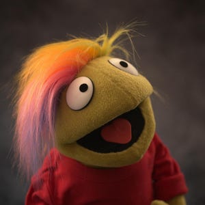 Professional Hand Puppet &quot;Hooman&quot;