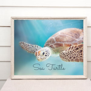 Sea Turtle Wall Art | Printable Digital Art Print | Nursery Kids Room Art Print