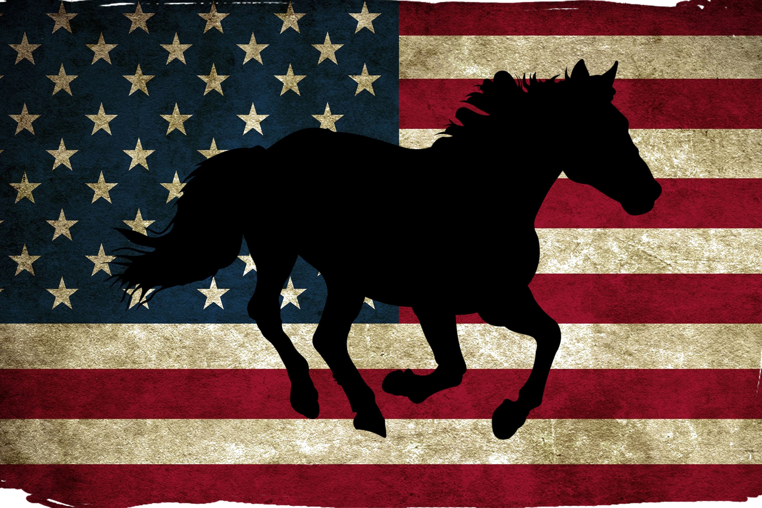 American Flag With Black Horse Silhouette Printable Digital Art Print