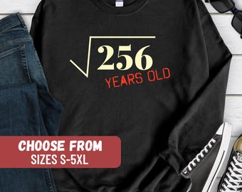 16th Birthday Sweatshirt, Cute 16th Birthday Sweater, 16th Birthday Gift, Sixteen Crewneck Sweatshirt, 16th Birthday Party Gift Sweatshirt