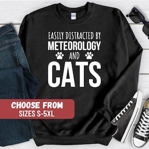 Weather Sweatshirt, Meteorologist Gift, Meteorologist Sweater, Weather Forecaster Hoodie, Meteorology Gift, Forecast Hoodie, Weatherman Tee