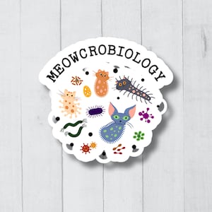 Zabawne naklejki na laptopa naukowe, naklejki na butelki z wodą naukową, naklejki naukowe, naklejki biologiczne, naklejki biologa, prezent naukowy