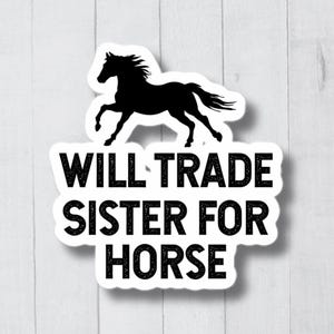 Funny Horse Stickers, Gift For Equestrian, Horse Gifts, Gift For Horse Lover, Vinyl Horse Decal, Cute Horse Art Sticker, Equestrian Sticker