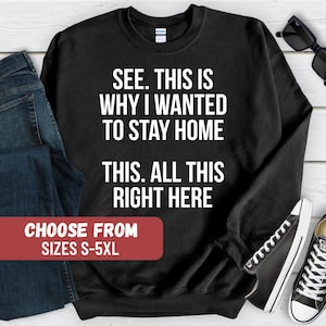 Sarkastisches Sweatshirt, lustige Zitate Sweatshirt, Sarkasmus Sweatshirt, sarkastischer Hoodie, lustige Zitate Hoodie, Sarkasmus Hoodie, introvertierter Pullover