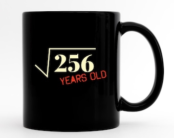 Geburtstagsgeschenk für Sohn, lustiges Sixteen Becher, 16. Geburtstagsbecher, Sechzehntes Geburtstagsgeschenk, niedlicher 16. Geburtstagsbecher, 16 Jahre alte Kaffeetassen