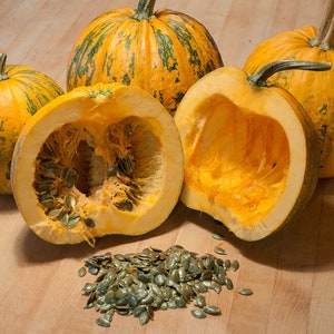May include: A collection of orange pumpkins, some whole and one halved, displaying seeds and pulp. The pumpkins have green streaks and are on a wooden surface. A pile of seeds is in front of the cut pumpkin.