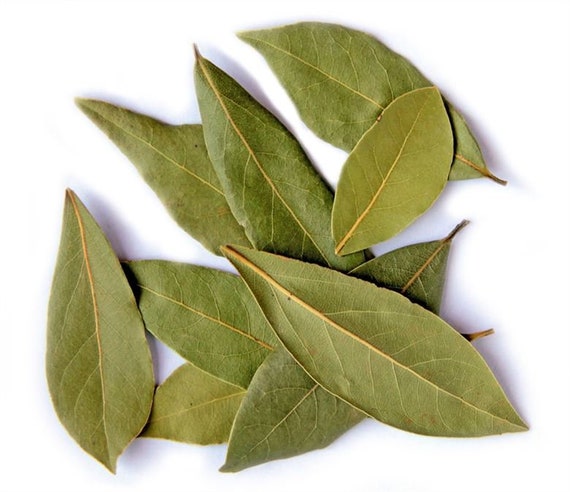 Whole Bay Leaves Bio Organic Wild Laurel Leaf Bay Laurus Etsy
