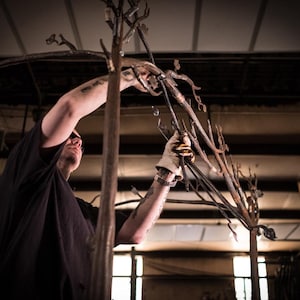K&ouml;nnte beinhalten: Eine dunkelbraune Metallskulptur in Form eines Baumes mit d&uuml;nnen, strukturierten &Auml;sten. Die Metallstruktur weist eine raue, organische Oberfl&auml;che mit mehreren nach oben ragenden Gliedern auf, gefertigt aus dunklem, verwittertem Eisenmaterial.