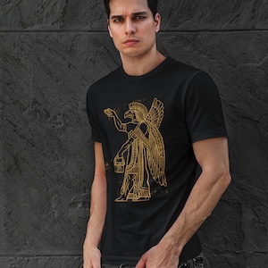 Anunnaki Deity Unisex Shirt, Ancient Aliens Shirt, Horus God, Sumerian Mesopotamian Babylon Evolution DNA Enki Falcon Headed Egypt Shirt