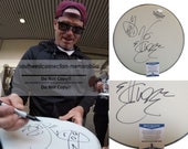 Vanilla Ice Signed Drumhead Teenage Mutant Ninja Turtles TMNT Sketch Drum with Exact Proof Photo and Beckett BAS Authentication