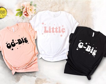 funny big little reveal shirts