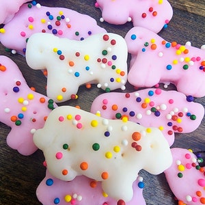 Frosted animal cookie wax melts, circus cookie wax melts, realistic food, pink cookie wax melts, fake food, birthday gift