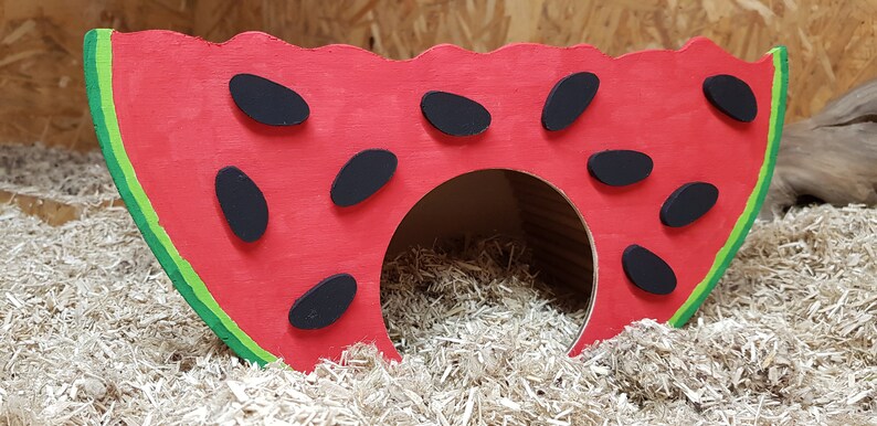 Rodent hideout Melone