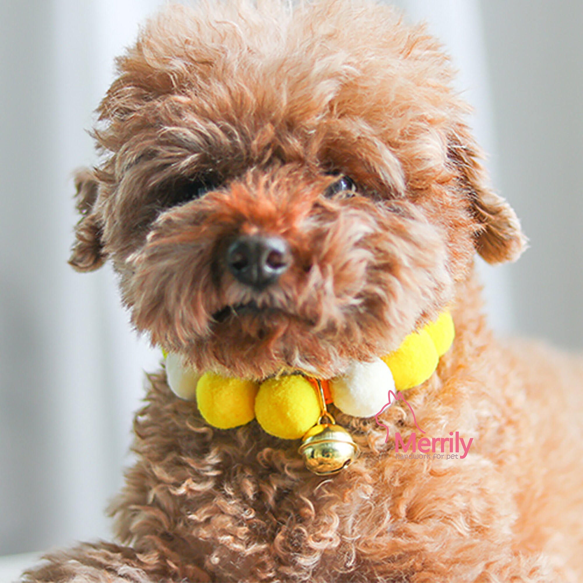 Plush ball dog collar cat collarbell collaryellow plush Etsy