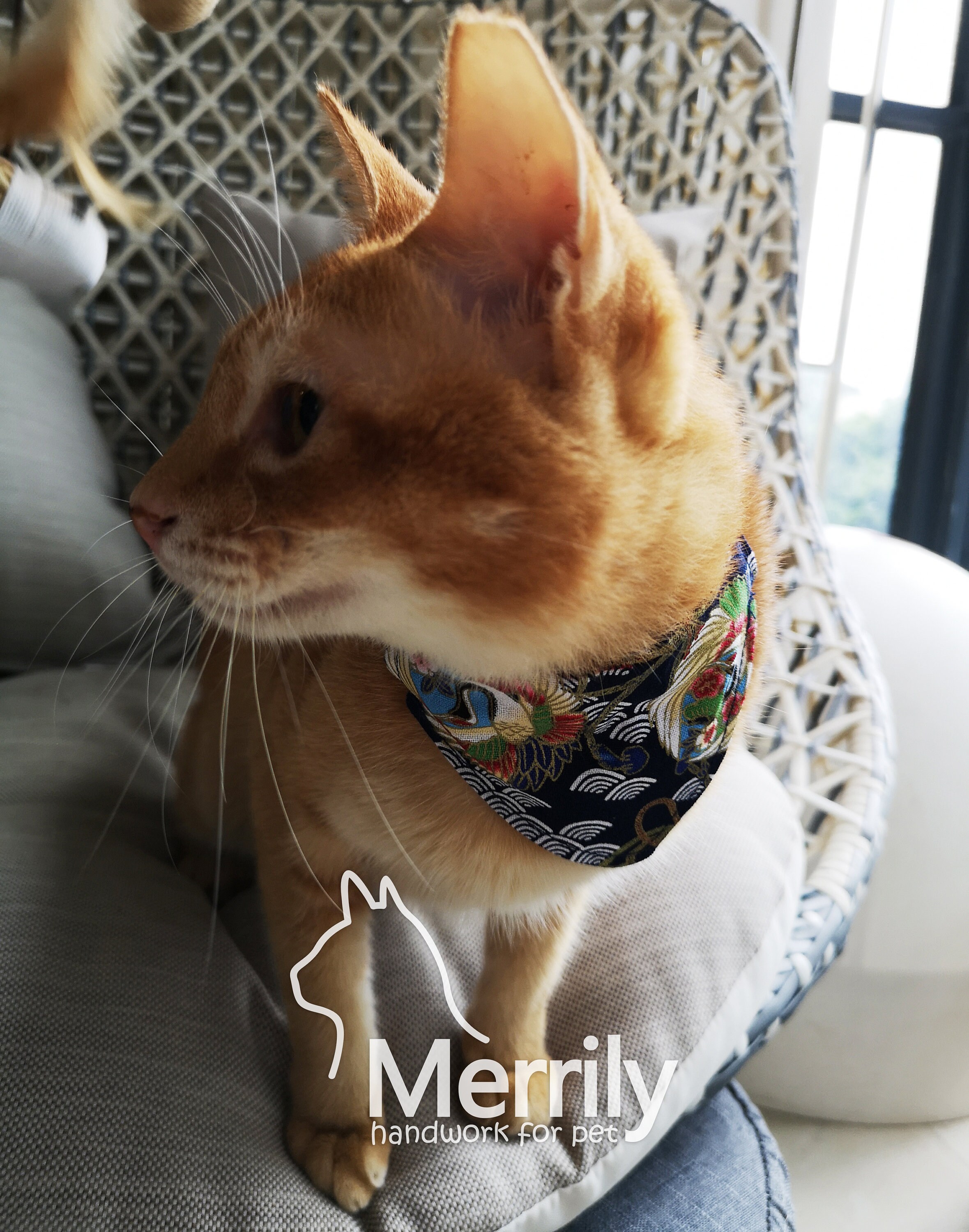 Cat BandanaCranePet BandanaCollar BandanaCartoon Etsy