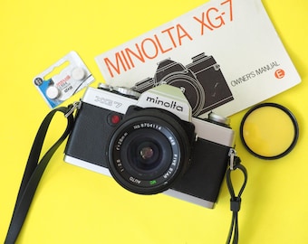 Panasonic PV-GS300 Minidv Video Camera Camcorder Playback/transfer