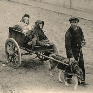 cpa Postcard paysans du Nord fuyant l' invasion des barbares  Attelage de chien Guerre de 1911