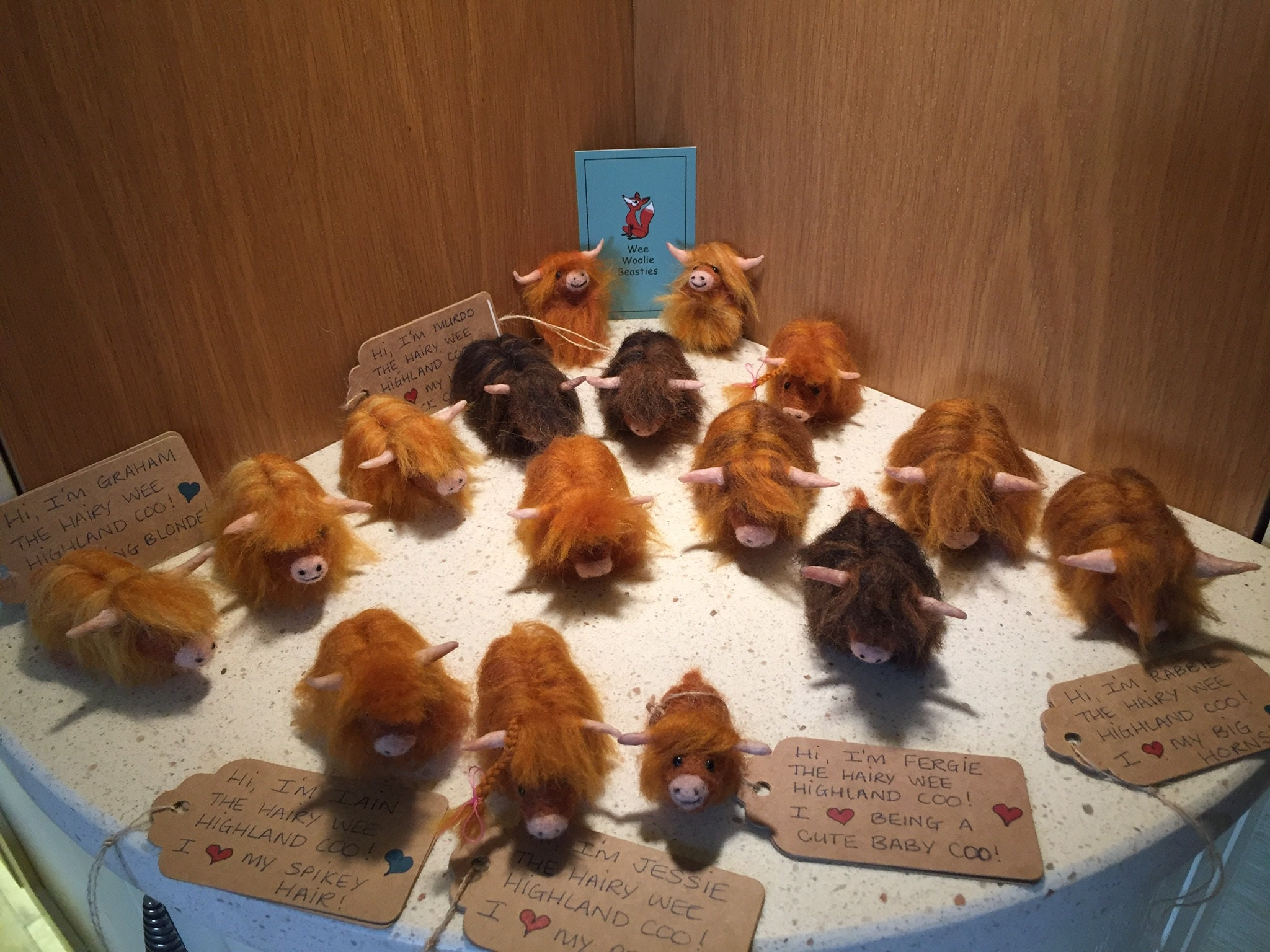 Cute, handmade, needle felted hairy wee highland Coo. Each one is nam…