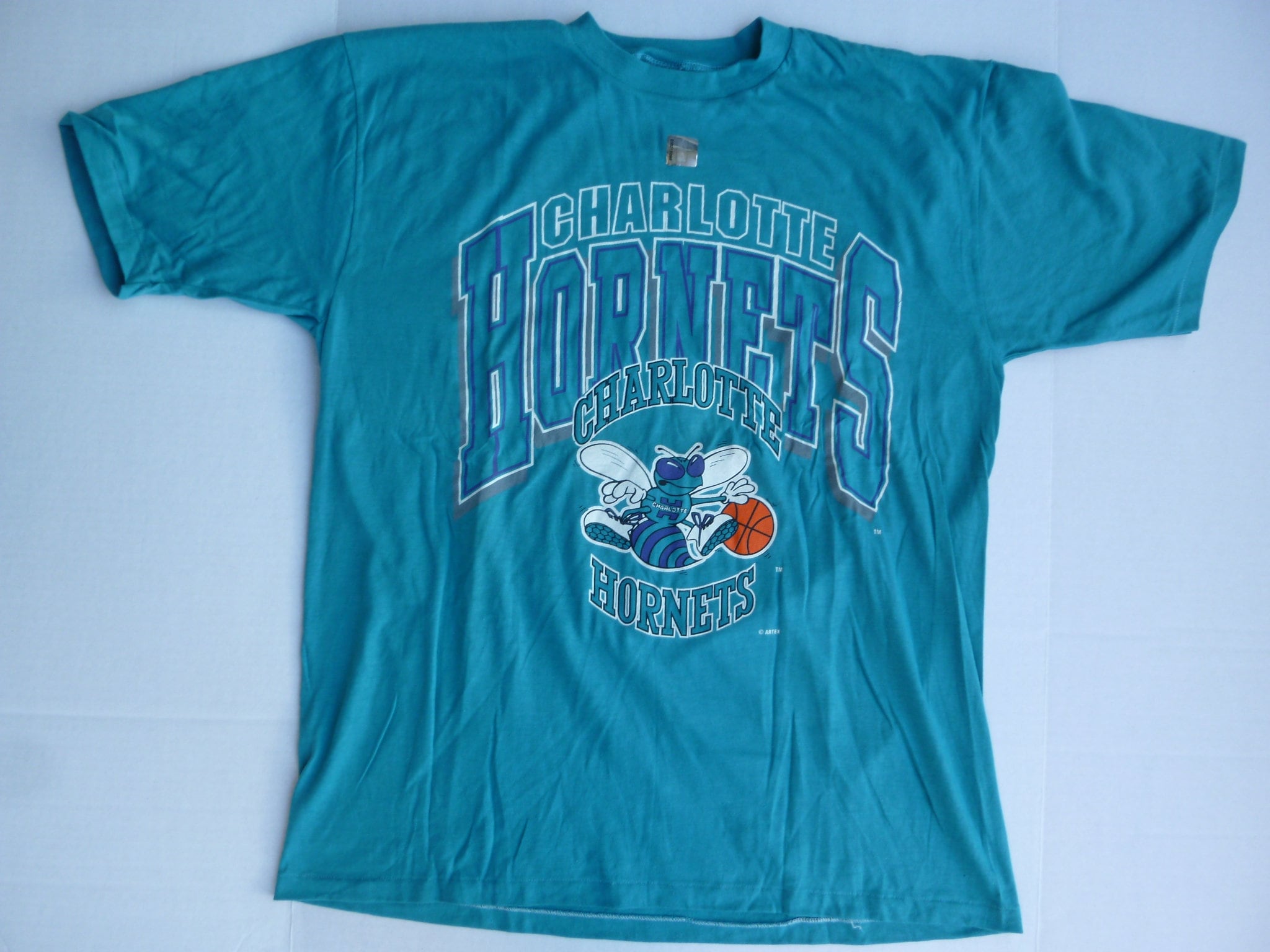 Charlotte Hornets Vintage 90s NBA T-Shirt – Agent Thrift