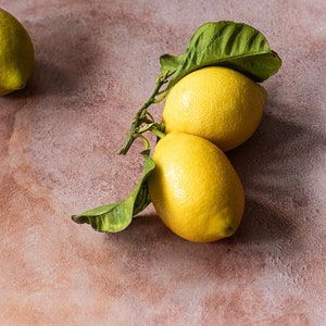Warm Beige Plaster Concrete Stone Wall Food and Product Photography Backdrop