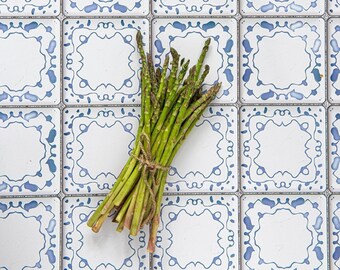 Vintage Ceramic Tiles Food and Product Photography Vinyl Backdrop