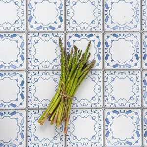 Vintage Ceramic Tiles Food and Product Photography Vinyl Backdrop