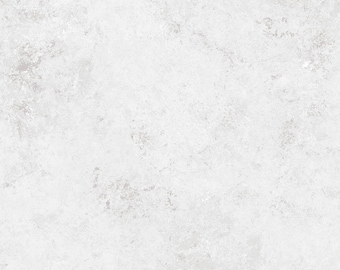 White Concrete Wall Food and Product Photography Backdrop