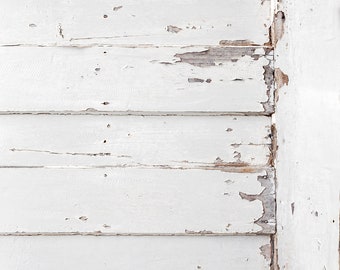 Old Wood Door White Planks Food and Product Photography Backdrop