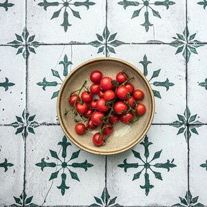 May include: A bowl of fresh red cherry tomatoes on a white tiled floor with a green floral pattern.