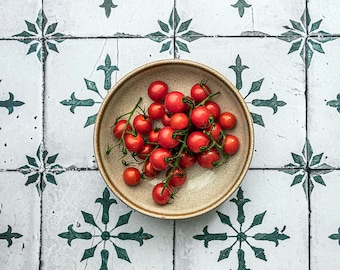May include: A bowl of fresh red cherry tomatoes on a white tiled floor with a green floral pattern.