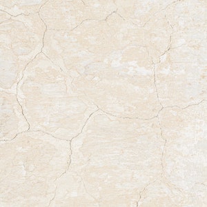 Cracked Wall Beige Food and Product Photography Backdrop